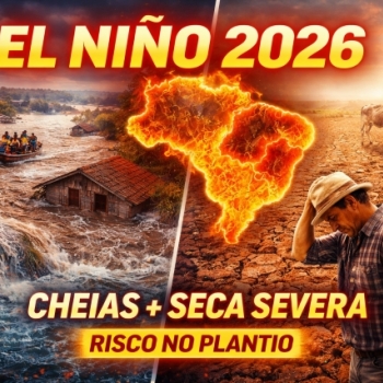 BOLETIM T�CNICO DE PROTE��O E DEFESA DO EL NI�O RE�NE AN�LISE POR TERRIT�RIOS PARA O ENFRENTAMENTO