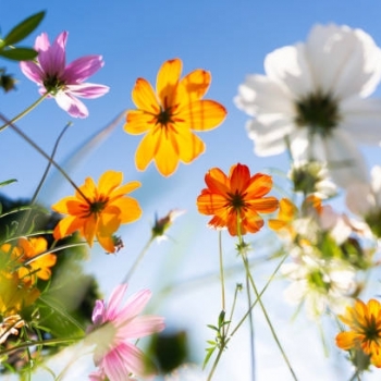 PRIMAVERA EM SERGIPE CHEGA COM CALOR ACIMA DA M�DIA