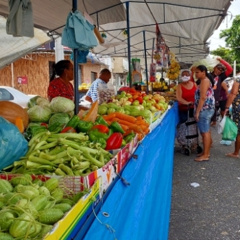 FEIRAS LIVRES DE ARACAJU TER�O FUNCIONAMENTO ANTECIPADO DEVIDO AO SEGUNDO TURNO DAS ELEI��ES